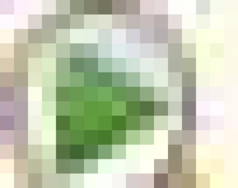 image38.jpg image38.jpg